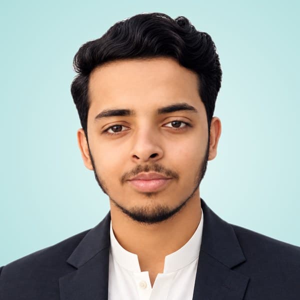 Talha Ghauri, CEO & Senior Developer